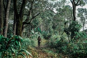 BIB: 
                            <button type="button" onclick="openModal(25660528)" class="btn btn-primary btn-sm float-right btn-popup" data-toggle="modal" data-target=".modal-high-quality">
                        <i class="fas fa-shopping-cart"></i> Add to Cart
                    </button>
                                            <button type="button" onclick="isThisMe(25660528, true)" class="btn btn-success btn-sm float-right btn-popup btn-isme hidden" data-toggle="tooltip" data-placement="bottom" title="นี่คือรูปของคุณใช่ไหม คลิกที่นี่เพื่อเอาเข้าอัลบั้ม">
                        <i class="fas fa-plus"></i> Add to album
                    </button>
                    <button type="button" onclick="isThisMe(25660528, false)" class="btn btn-warning btn-sm float-right btn-popup btn-isnotme hidden">
                        <i class="fas fa-ban"></i> Remove from album
                    </button>